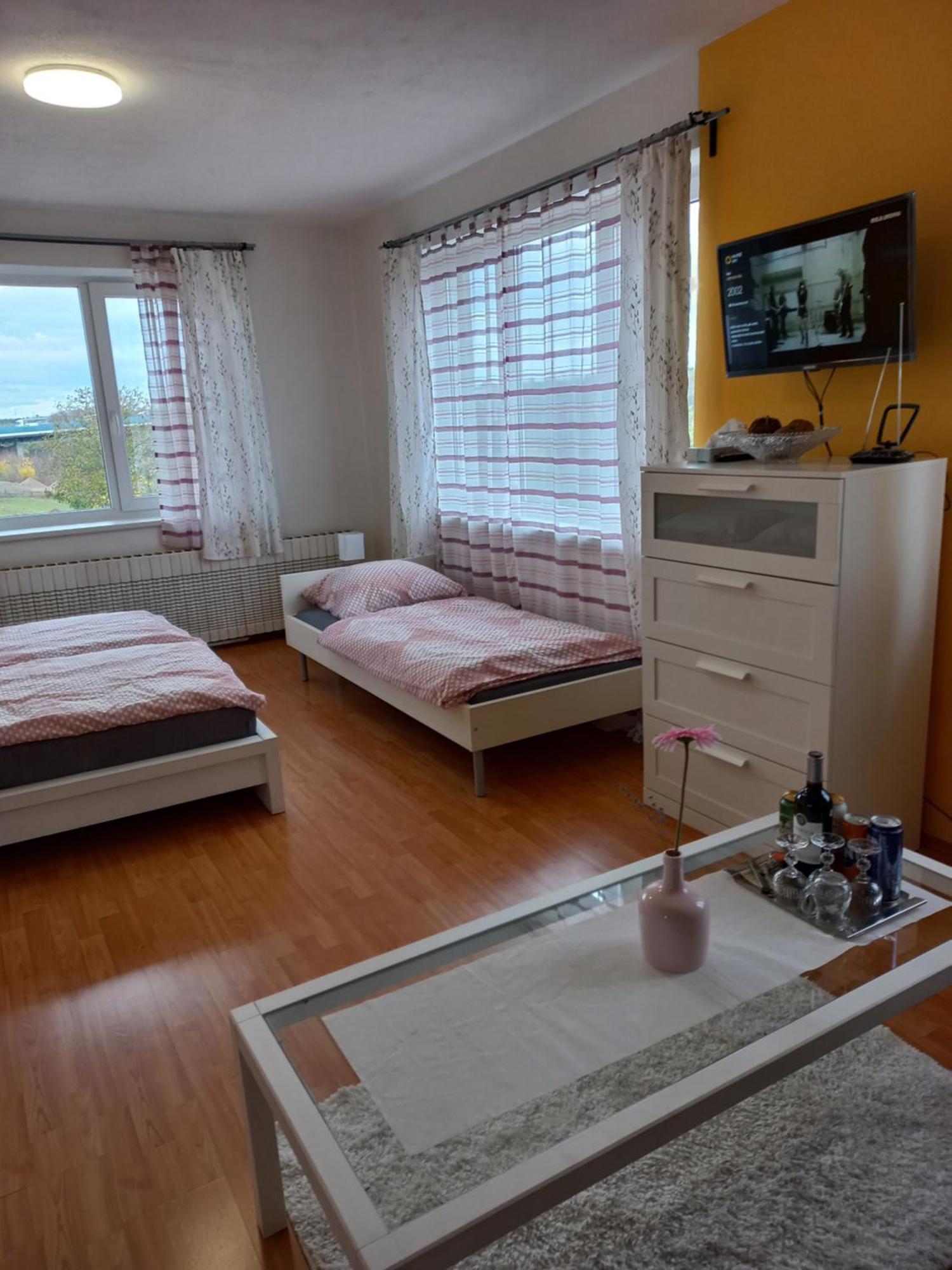 Paradise Villa Apartment 布拉格 外观 照片